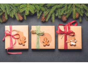 pEvgeny Karandaevshutterstockcombrp