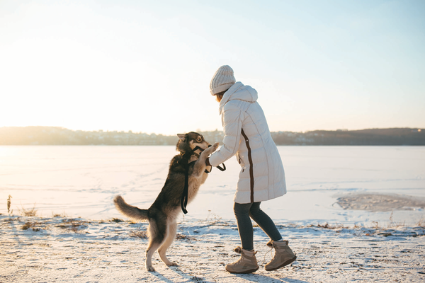 Woman and a dog on the beach sharing companionship