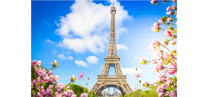 Self pollinating wild flowers due to declining insect population