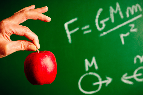 Newton apple