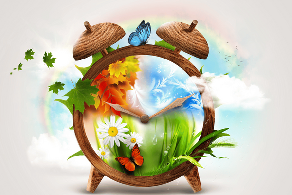 clock showing the seasons