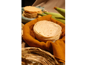 pNolmedrano99 from Getty ImagesCanvaProbrp