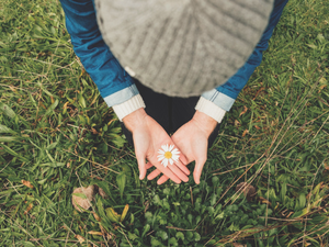 pSolStock from Getty Images SignatureCanvaProbrp