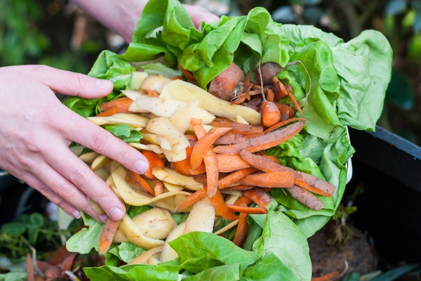 composting vegetables