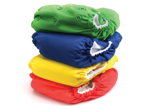 Pamela D MaxwellShutterstockcom