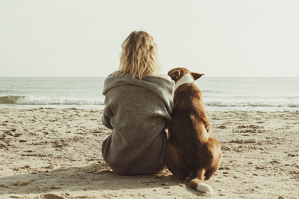 Pet Owner with Healthy Cancer-Free Dog