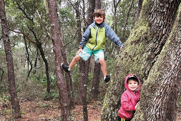 Kids playing outside in the woods, climbing trees and enjoying nature