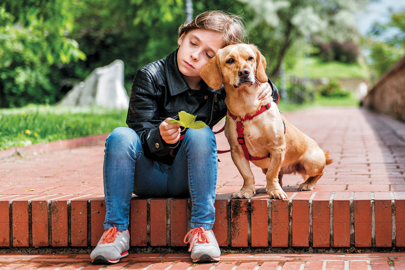 Kid with eyes closed sitting outside on brick step holding leaf and resting head on pet dog, mourning loss