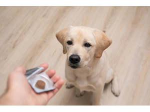 pFS-StockAdobeStockcombrp