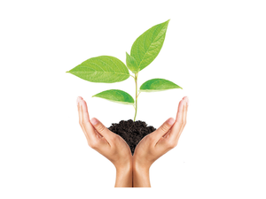 pmaerorisAdobeStockcombrp