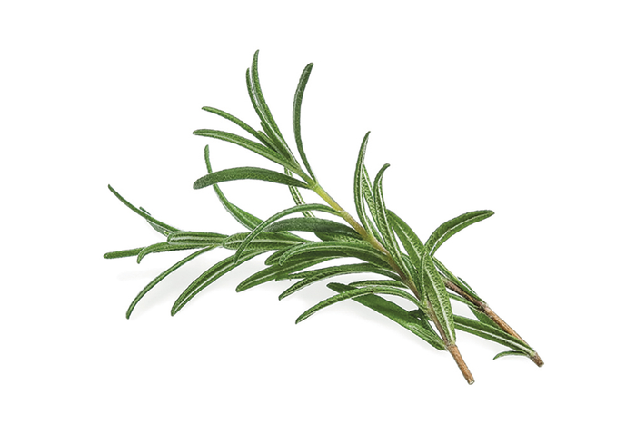 Rosemary