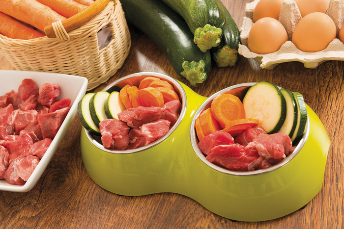 Pet food bowl full of fresh meat and vegetables