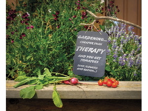 pHollyHarryAdobeStockcombrp